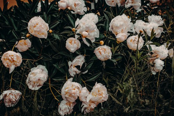 10 idées lumineuses pour choisir une veilleuse projecteur enfant